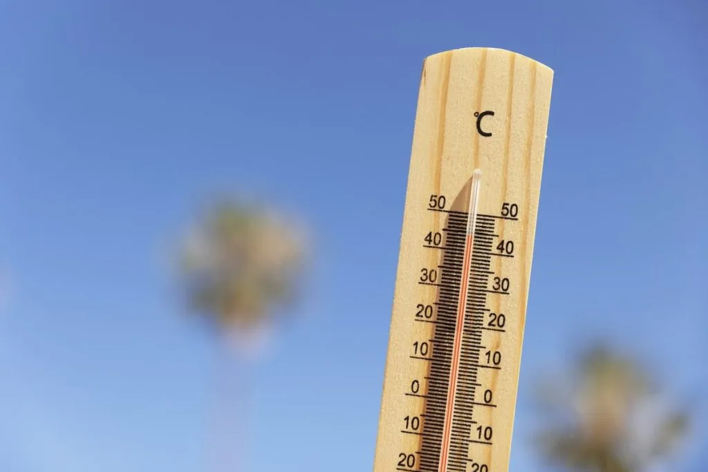 Alerta por ola de calor extrema en Chaco: se esperan temperaturas de hasta 43°C