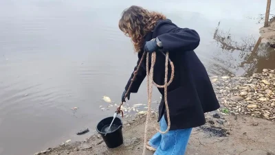 Investigan la causa de la mortandad de peces en el Río Salado