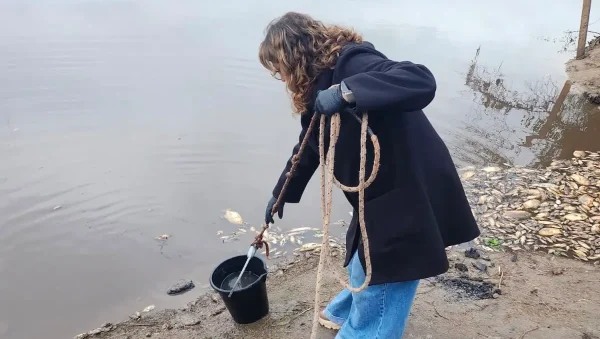 Investigan la causa de la mortandad de peces en el Río Salado