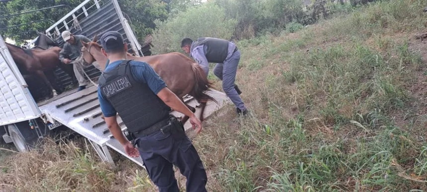 Desarticulan carrera cuadrera ilegal en Fontana: 70 demorados