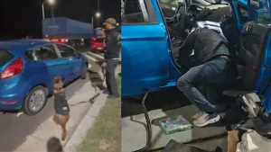 Un perro antinarcóticos junto a un automóvil durante un control nocturno