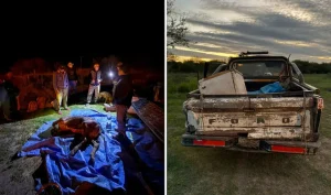 Cinco detenidos por abigeato tras un control rural