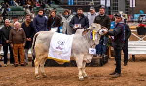 La ganader铆a chaque帽a se destac贸 con premios en Palermo