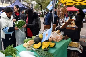 El programa Ñande fortalece la venta directa de productores chaqueños