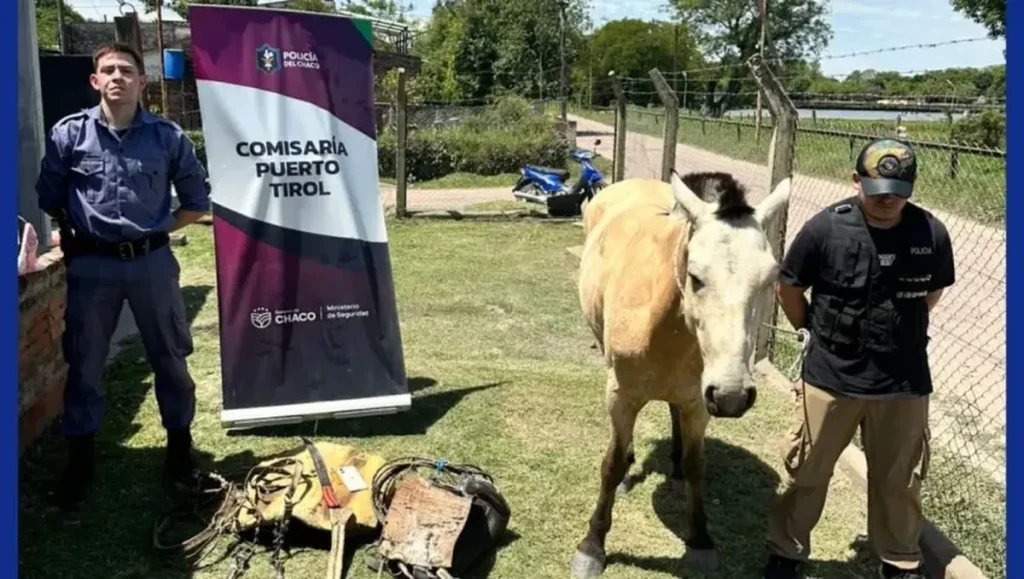 Efectivos policiales junto al caballo y elementos secuestrados en Puerto Tirol