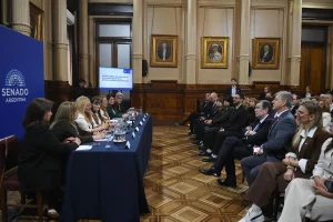 Autoridades y asistentes en la jornada sobre óxido nitroso-oxígeno en el Senado argentino