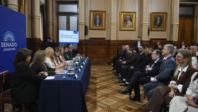 Autoridades y asistentes en la jornada sobre óxido nitroso-oxígeno en el Senado argentino