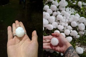 Mar del Plata: tormenta con granizo y vientos fuertes provocan destrozos