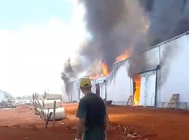 Incendio en galpón de yerba mate Playadito