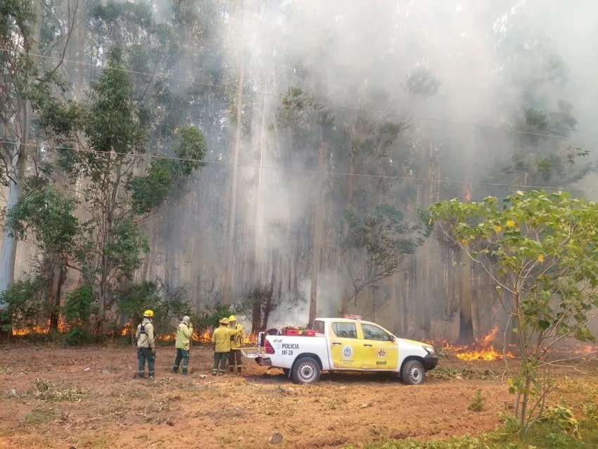 Incendios en Corrientes: tres localidades afectadas y una víctima fatal