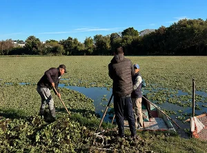 Refuerzan el monitoreo ambiental de lagunas urbanas en el Gran Resistencia