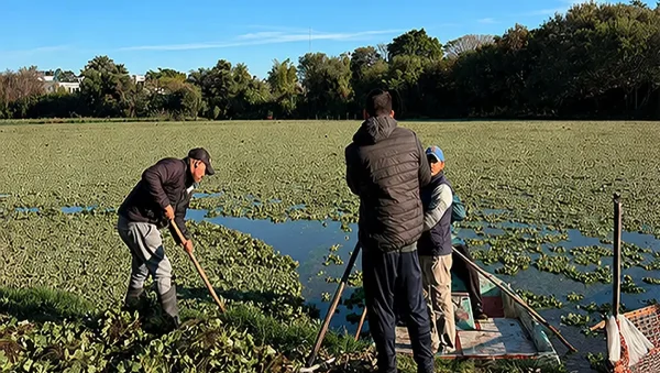 Refuerzan el monitoreo ambiental de lagunas urbanas en el Gran Resistencia