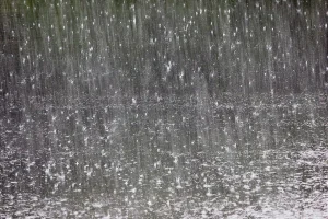 Lluvias y tormentas: así estará el tiempo en Resistencia
