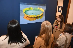 El Nuevo Banco del Chaco cierra su muestra de arte en el Club Social