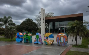 Alerta por tormentas: así estará el tiempo este fin de semana en Chaco