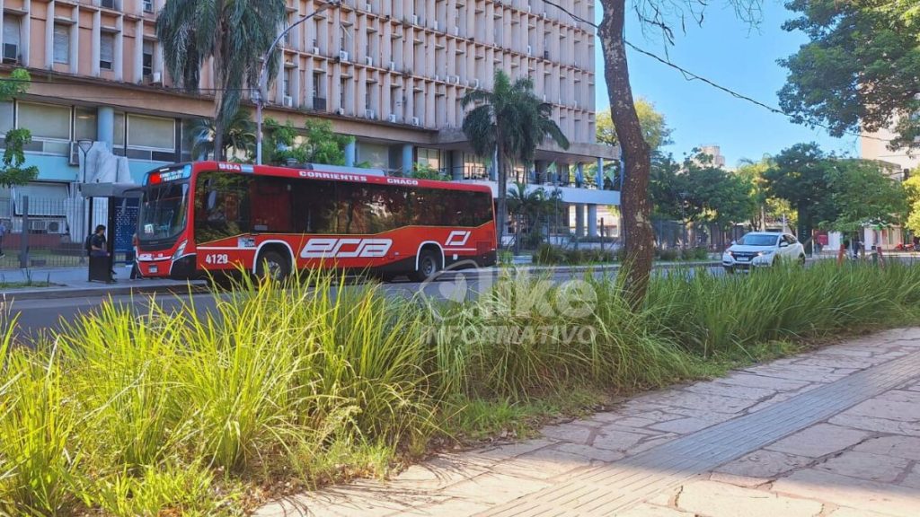 Sin lluvias a la vista, se intensifica el calor en el Chaco