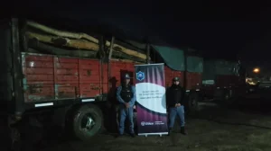 Castelli: secuestran una carga forestal de 24.700 kilos
